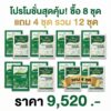 1388316 คู่หูเวิลด์แพลนท์ ไคโตซาน ซื้อ 8 ชุด แถม 4 ชุด