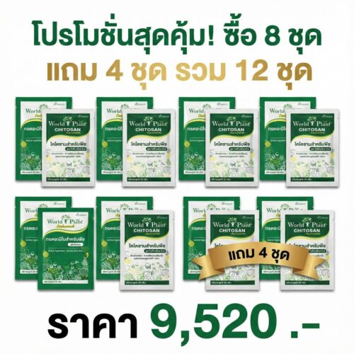 คู่หูเวิลด์แพลนท์ ไคโตซาน ซื้อ 8 ชุด แถม 4 ชุด