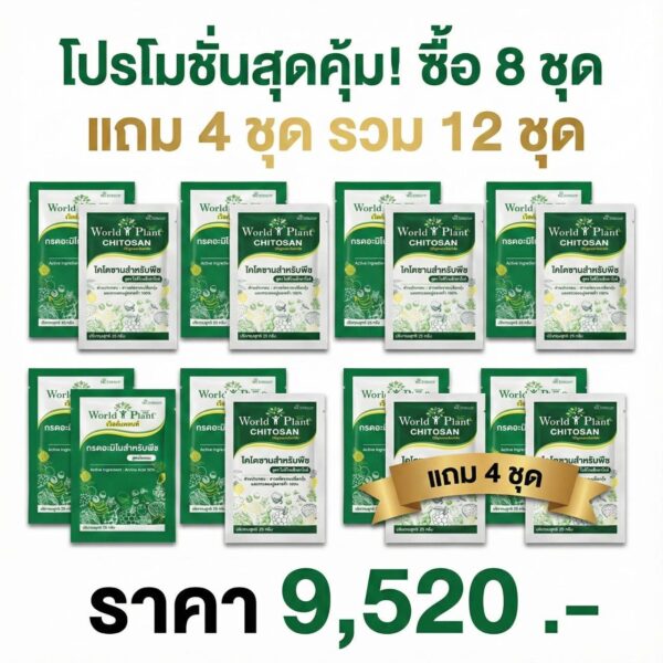 1388316 คู่หูเวิลด์แพลนท์ ไคโตซาน ซื้อ 8 ชุด แถม 4 ชุด