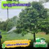 เวิลด์แพลนท์ไคโตซาน & กรดอะมิโน ซื้อ 2 ชุด แถมฟรี! 1 ชุด