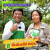 เวิลด์แพลนท์ไคโตซาน & กรดอะมิโน ซื้อ 2 ชุด แถมฟรี! 1 ชุด