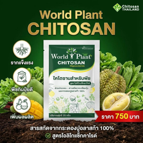 va3 เวิลด์แพลนท์ ไคโตซาน สูตรโอลิโกแซ็กคาไรด์ สูตรใหม่ ชนิดผง