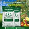 yingkaset-soil-amendments สารปรับปรุงดินเวิลด์คลาส ตราหญิงเกษตร ช่วยปรับสภาพดิน