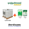 เวิลด์แพลนท์ไคโตซาน & กรดอะมิโน ซื้อ 12 ชุด แถมฟรี! 6 ชุด