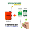 เวิลด์แพลนท์ไคโตซาน & กรดอะมิโน ซื้อ 12 ชุด แถมฟรี! 6 ชุด