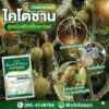 ไคโตซานชนิดผง เวิลด์แพลนท์ ไคโตซาน สูตรโอลิโกแซ็กคาไรด์ สูตรใหม่ ชนิดผง
